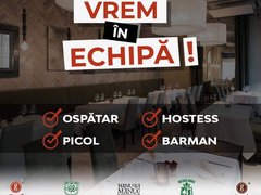 Ospatari/ Picoli pentru restaurantele City Grill